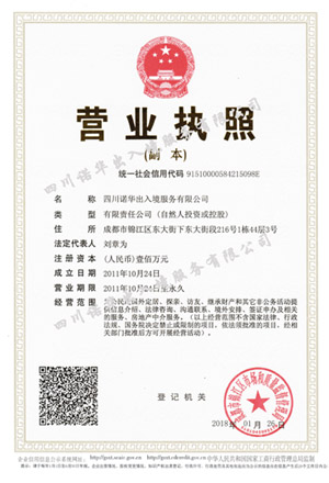 诺华荣誉证书1