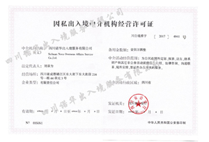 诺华荣誉证书2