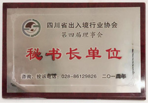 诺华荣誉证书3