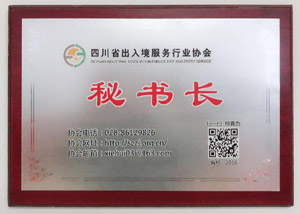 诺华荣誉证书4