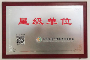 诺华荣誉证书5